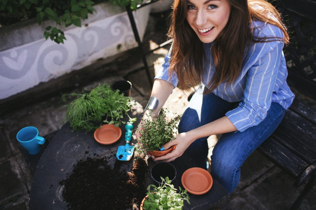 Home Gardening Trends You Should Consider