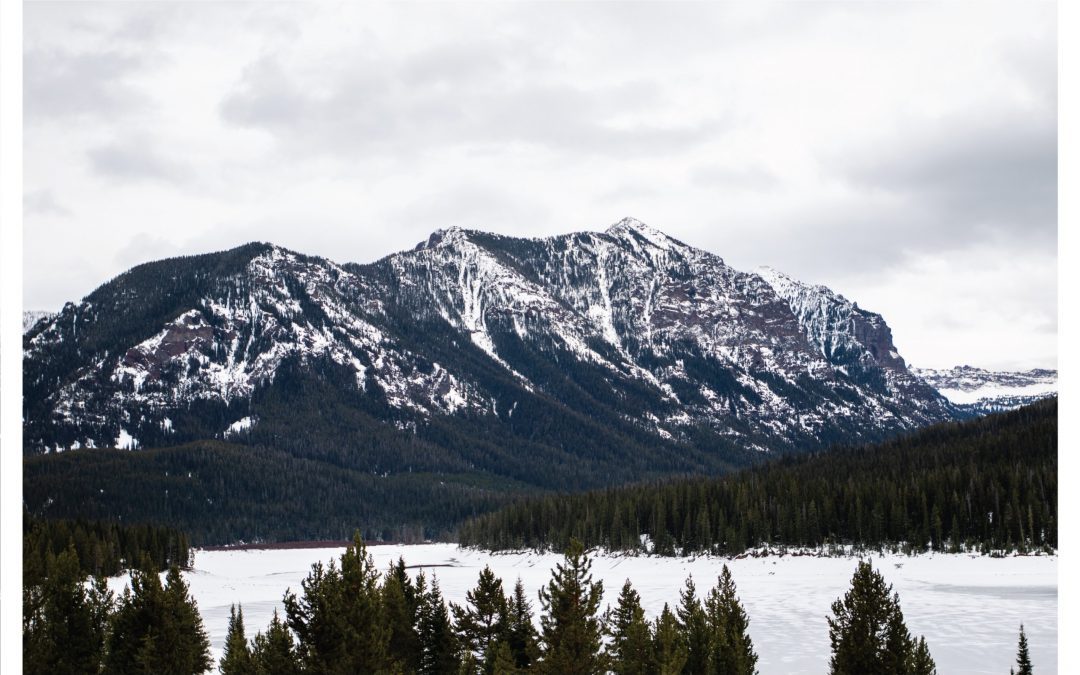 5 Best Snowshoe Trails Around Belgrade, MT