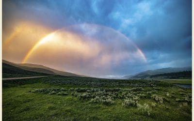 Why Summer in the Gallatin Valley Is So Good