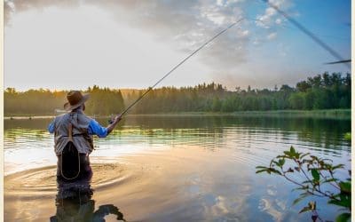 Spots to Fly Fish Around Belgrade
