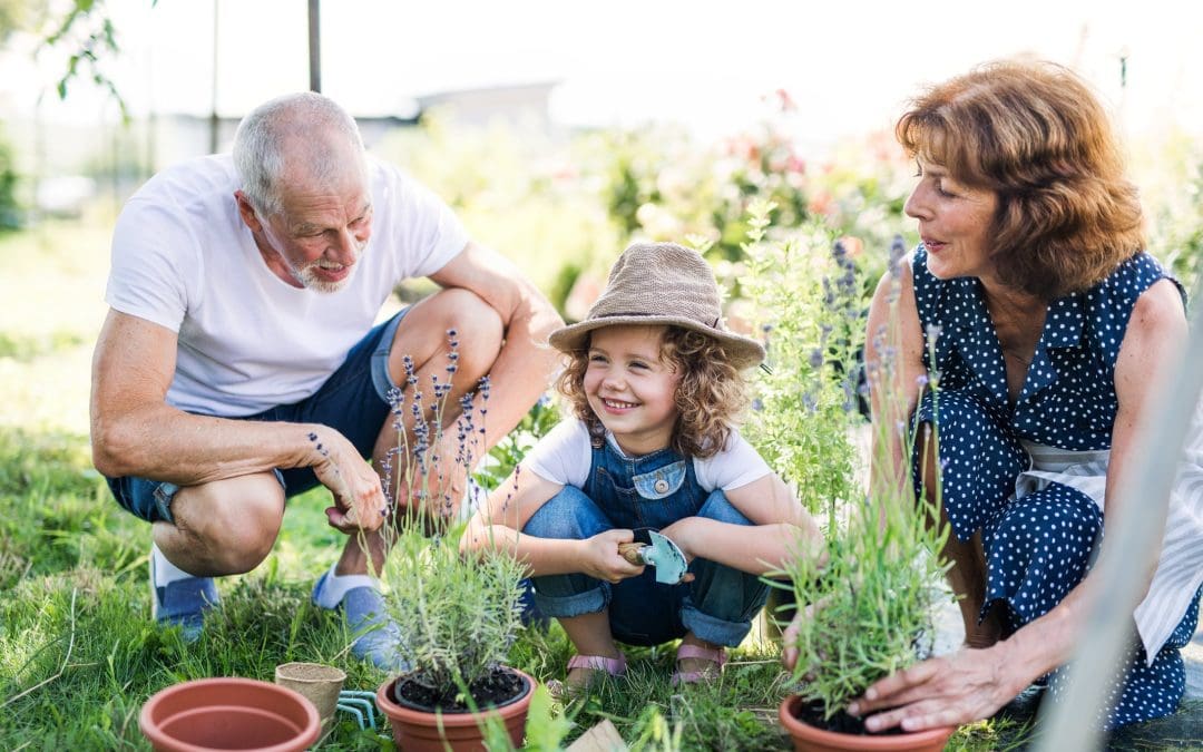 6 Home Gardening Trends for 2021