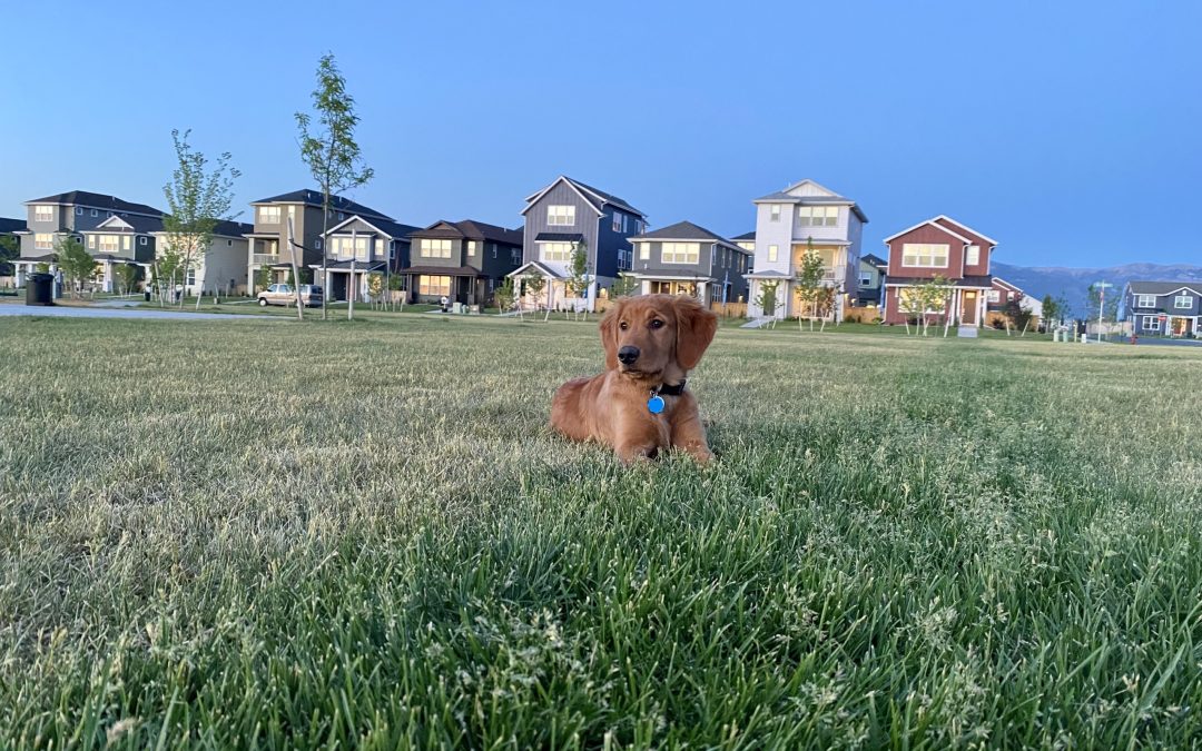 New Homes for Sale in Montana: Living in a Community Setting