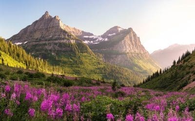 Why Moving to Montana Can Improve Quality of Life