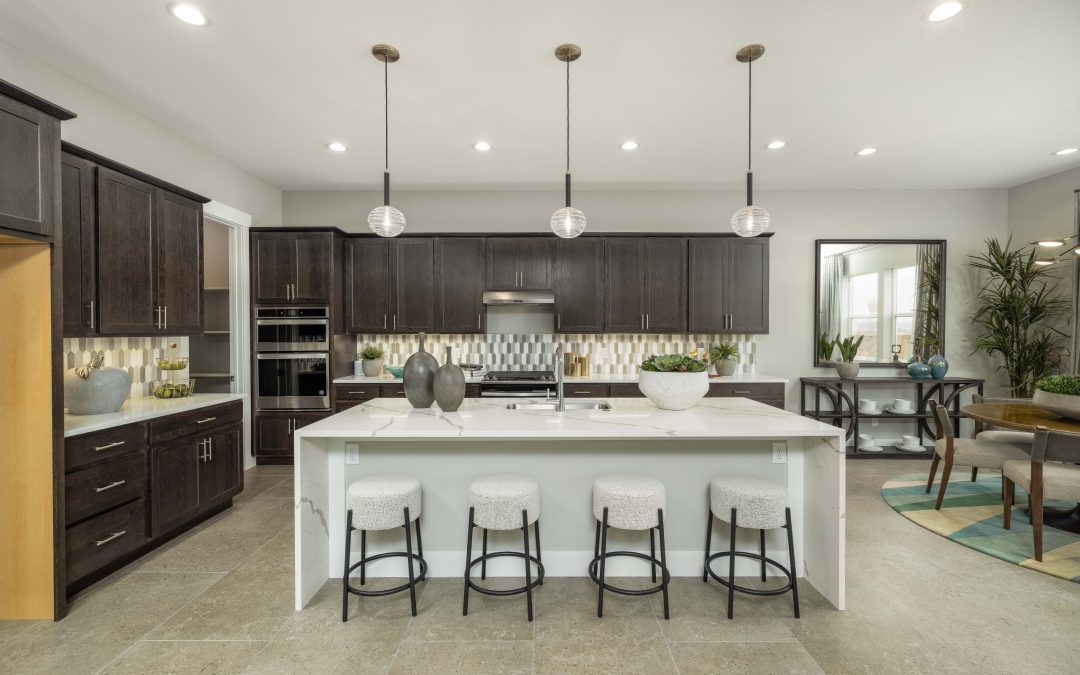 Explore the Lusitano Plan 1: Now You’re Home