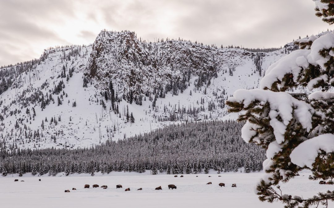 5 Fun Winter Day Trips From Belgrade, Montana