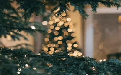 Redfin Featured Article: 5 Simple Steps to Crafting the Perfect Holiday Aesthetic