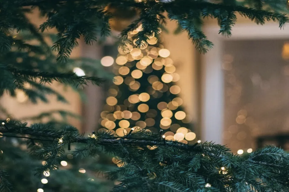Redfin Featured Article: 5 Simple Steps to Crafting the Perfect Holiday Aesthetic