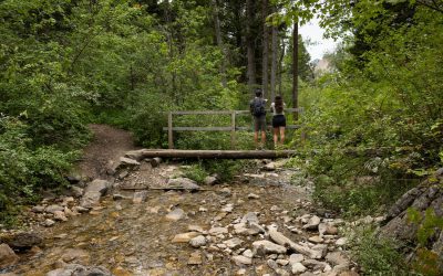 10 Amazing Summer Activities for Kids in Belgrade, Montana