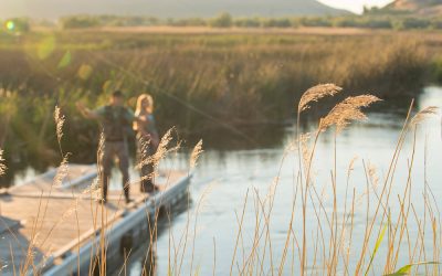 Why Magic Valley Idaho Is the Perfect Place for New Homebuyers